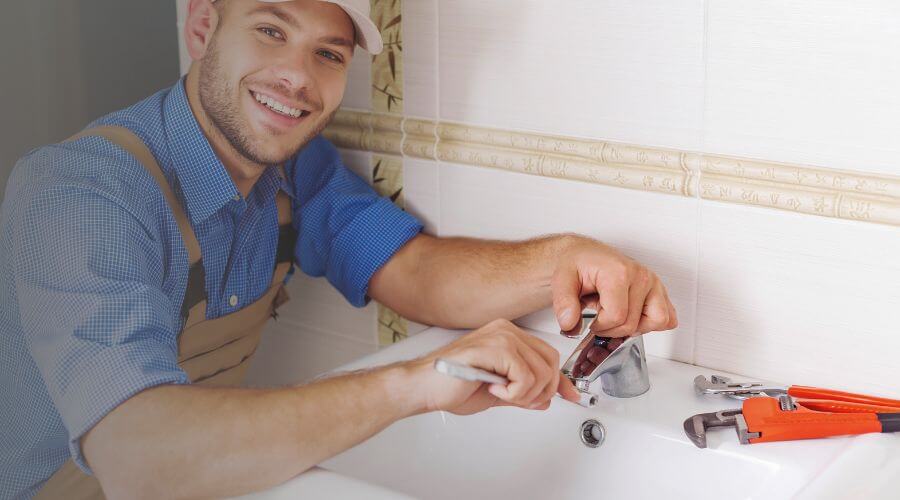 Professional Leak Detection Services services in Herrick, IL